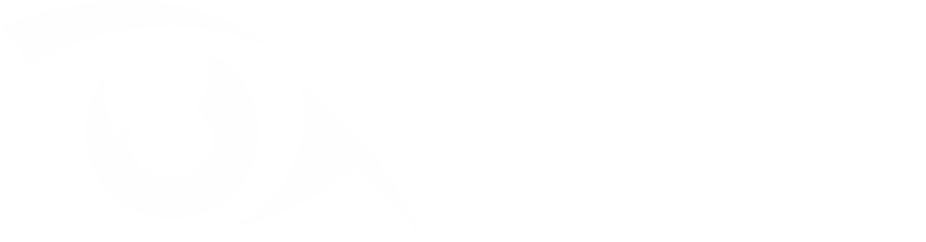 Iris Anticheat